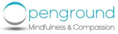 Mindfulness Based Stress Reduction Course